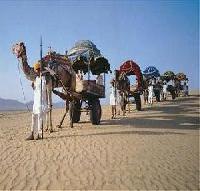 Las mejores ofertas de Pushkar Resort Pushkar