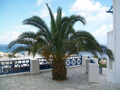 Las mejores ofertas de Aegean View Kamari
