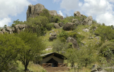 Las mejores ofertas de Mbuzi Mawe Serena Camp Serengeti National Park