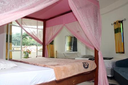 Las mejores ofertas de Hotel White Elephant Nallathanniya