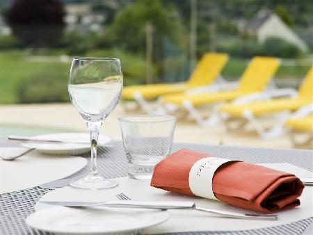 Las mejores ofertas de NOVOTEL AMBOISE Beauval 