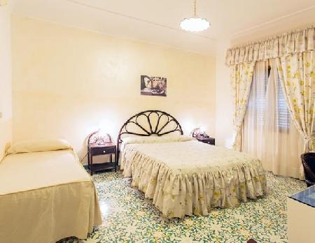 Las mejores ofertas de Holidays Fico DIndia Furore