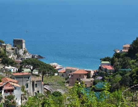 Las mejores ofertas de TENUTA SOLOMITA Maiori