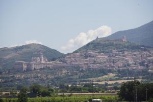 Las mejores ofertas de Hotel Cristallo Di Loreto Assisi