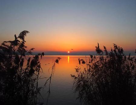 Las mejores ofertas de LE TRE ISOLE Passignano Sul Trasimeno