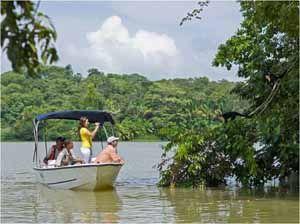 Las mejores ofertas de Rainforest Resort Gamboa