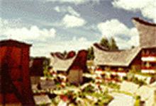Las mejores ofertas de Sahid Tana Toraja