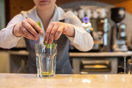 Las mejores ofertas de VILLA GALEAZZI Limone Sul Garda 