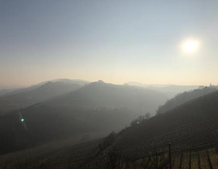 Las mejores ofertas de ALBA Alba