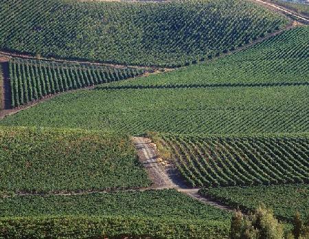 Las mejores ofertas de TENUTA REGALEALI Sclafani Bagni