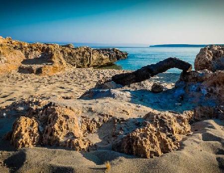 Las mejores ofertas de Oasi da Paolo Castelluzzo