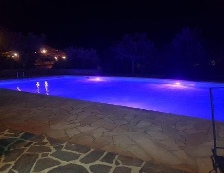 Las mejores ofertas de LE TRE ROSE Bono