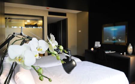 Las mejores ofertas de EVIDENCIA BELVERDE HOTEL Amora