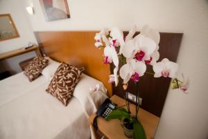 Las mejores ofertas de Hotel Gran Sol Ibiza SAN ANTONIO