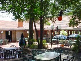 Las mejores ofertas de Papillon Bella Vista 