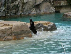 Las mejores ofertas de Hampton Inn Columbia-Downtown Historic Distric Alarcón