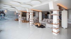 Las mejores ofertas de Onhotels Ocean Front MATALASCAÑAS