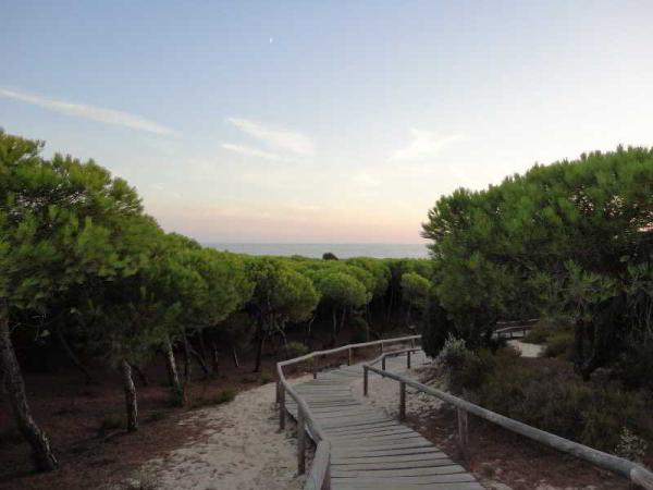 Las mejores ofertas de Leo Punta Umbria Punta Umbría