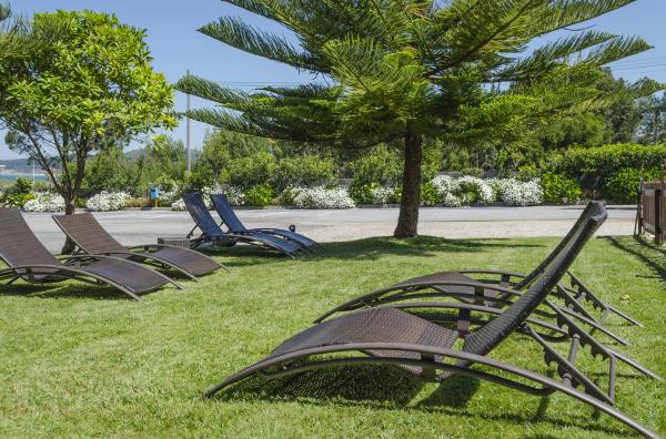 Las mejores ofertas de Delfin Azul Sanxenxo