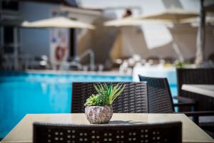 Las mejores ofertas de Vigilia Park Puerto de Santiago