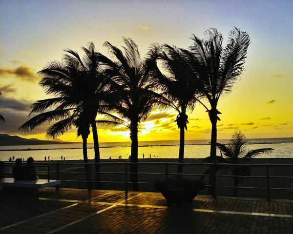 Las mejores ofertas de Brisamar Canteras Las Palmas de Gran Canaria