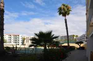 Las mejores ofertas de Los Juncos I Playa del Inglés