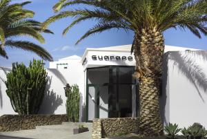 Las mejores ofertas de El Guarapo Costa Teguise