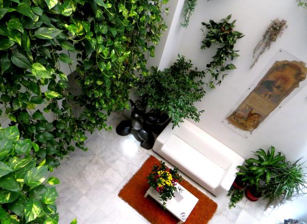 Las mejores ofertas de Un Patio al Sur Sevilla