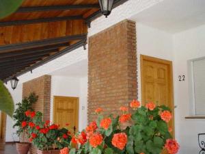 Las mejores ofertas de Salvador Bailén