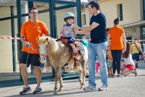 Las mejores ofertas de Vilar Rural Sant Hilari Sacalm by Serhs Hotels Sant Hilari Sacalm