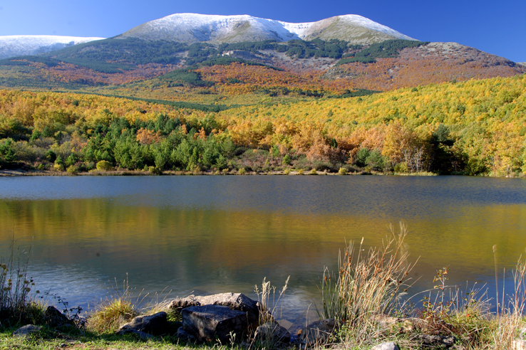 LA CASA DE SANTOS Y ANITA