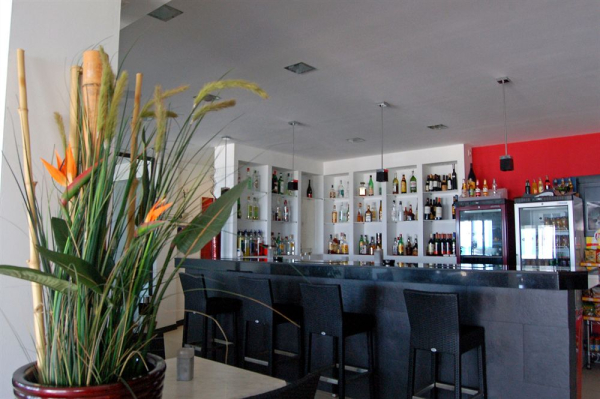 Las mejores ofertas de Saulo By Puro Can Pastilla