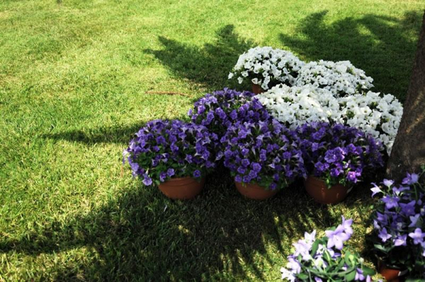 Las mejores ofertas de Rural Son Granot Es Castell