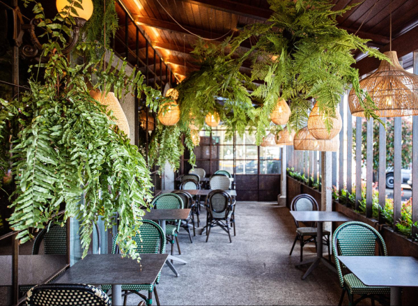 Las mejores ofertas de Punta del Este Carballo