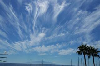 Las mejores ofertas de PUERTO COLON CLUB Playas de las Américas