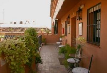 Las mejores ofertas de AMADEUS Sevilla