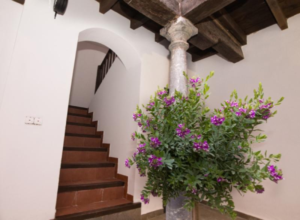 Las mejores ofertas de APARTAMENTOS NAHIRA SUITES 3000 Granada