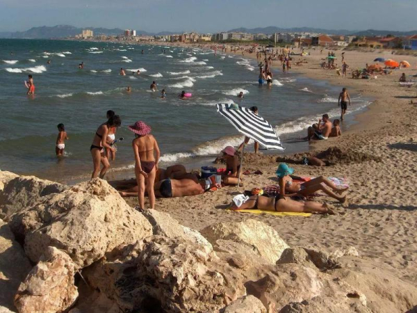 Las mejores ofertas de GANDIA DAIMUZ 3000 Daimús