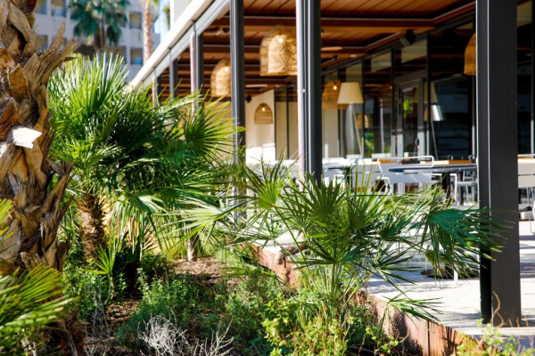 Las mejores ofertas de Aubamar Suites & SPA Playa del Palmar