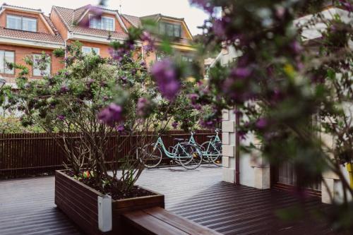 Las mejores ofertas de TINAS DE PECHON PECHON