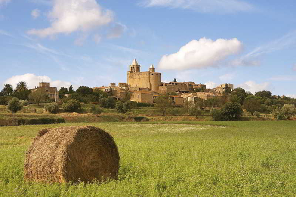 Las mejores ofertas de La Plaça Madremanya Madremanya