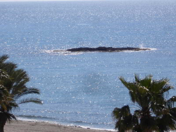 Las mejores ofertas de Hostal San Antonio CABO DE GATA