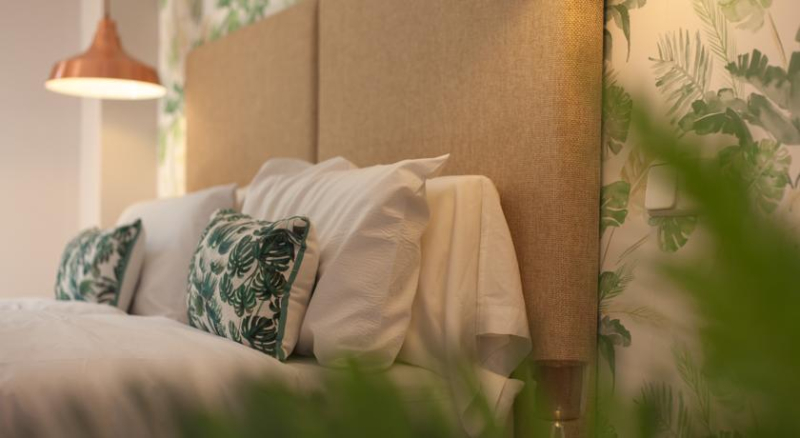 Las mejores ofertas de Felipe VI Madrid