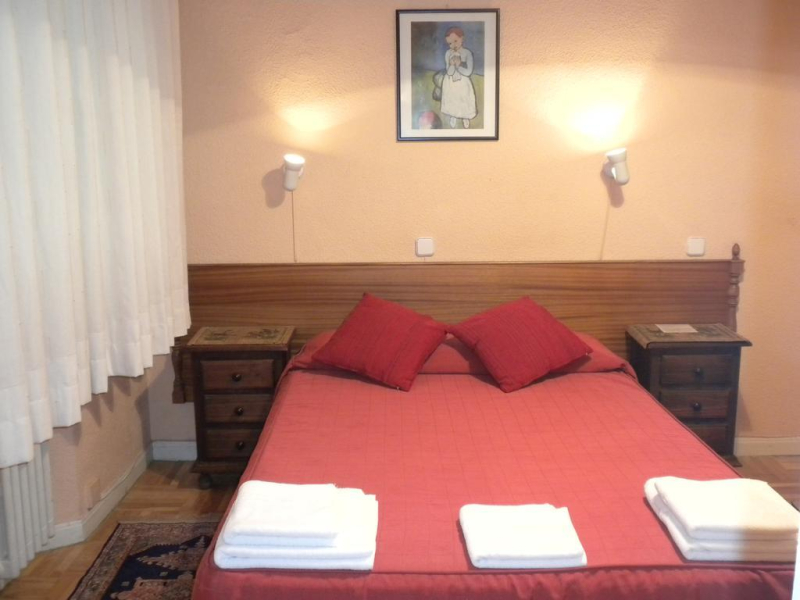 Las mejores ofertas de Hostal San Martin Madrid