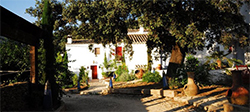 Las mejores ofertas de Los Pilares De Ronda Boutique and Ronda