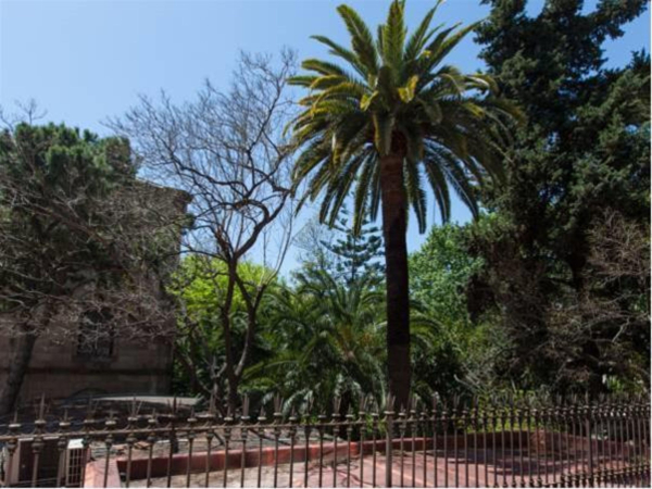 Las mejores ofertas de Hostal Ecozentric Barcelona
