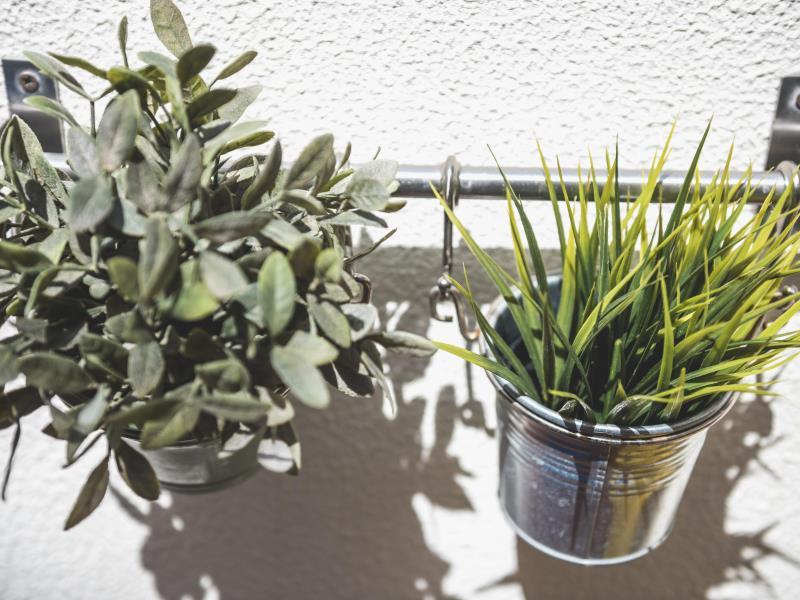 Las mejores ofertas de The Hostel Box Port Barcelona