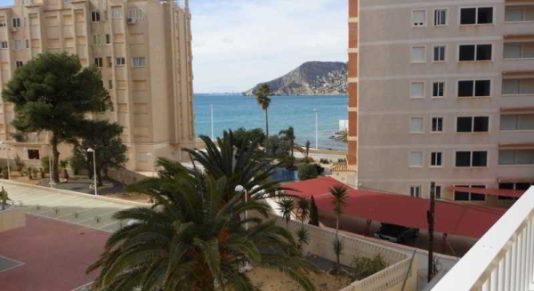 Las mejores ofertas de La Reina Calpe