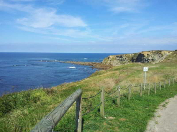 Las mejores ofertas de Comillas Comillas
