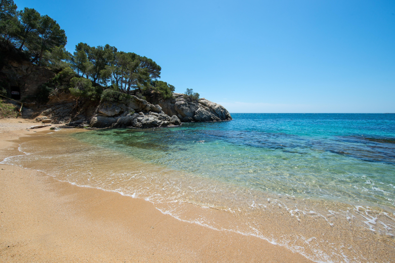 Las mejores ofertas de Hote Cala del Pi Beach Retreat - ADULTS ONLY Platja d Aro